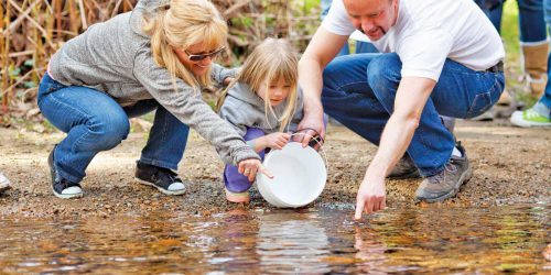 Coho Festival Adopt a Fish